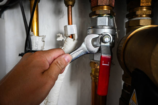 Best Clogged Drain Plumber  in Los Ranchos De Albuquerque, NM